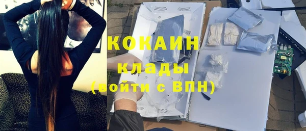 дживик Богданович